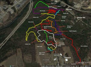 Spaulding Woods Opens Seven Miles of New Trails to the Public