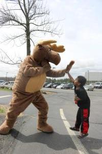 IMG 5668-Moose-A-W