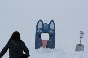 IMG 7675-Winter-Carnival-A