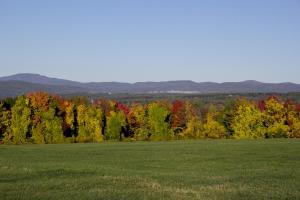 IMG 0331-SYC-Fall-FABIO